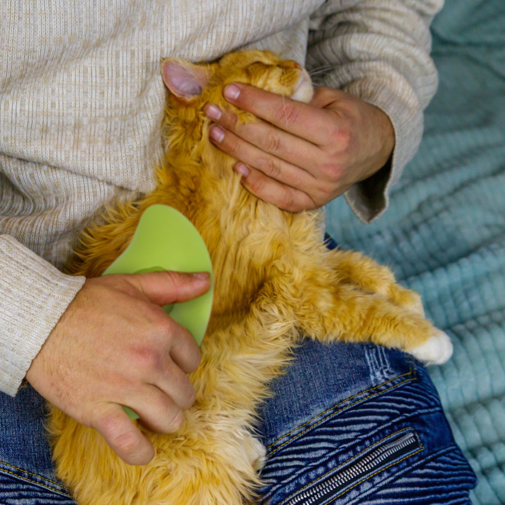3 In 1 Cat/Dog Grooming Hair Brush with Steamer