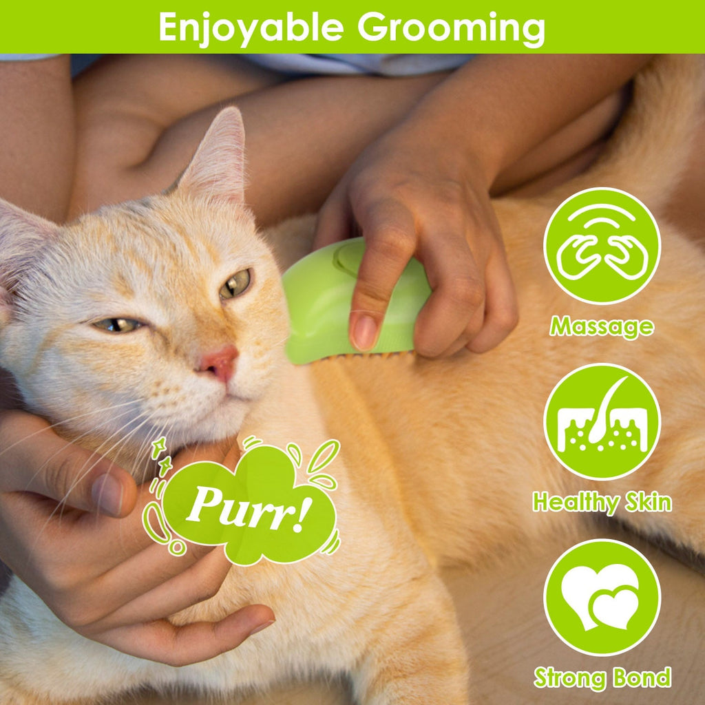 3 In 1 Cat/Dog Grooming Hair Brush with Steamer